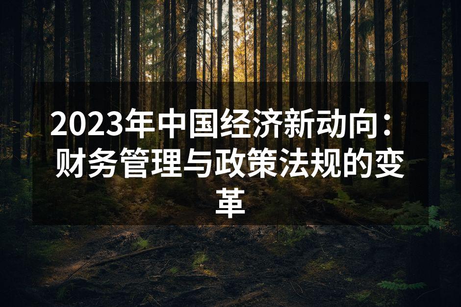 2023年中国经济新动向：财务管理与政策法规的变革