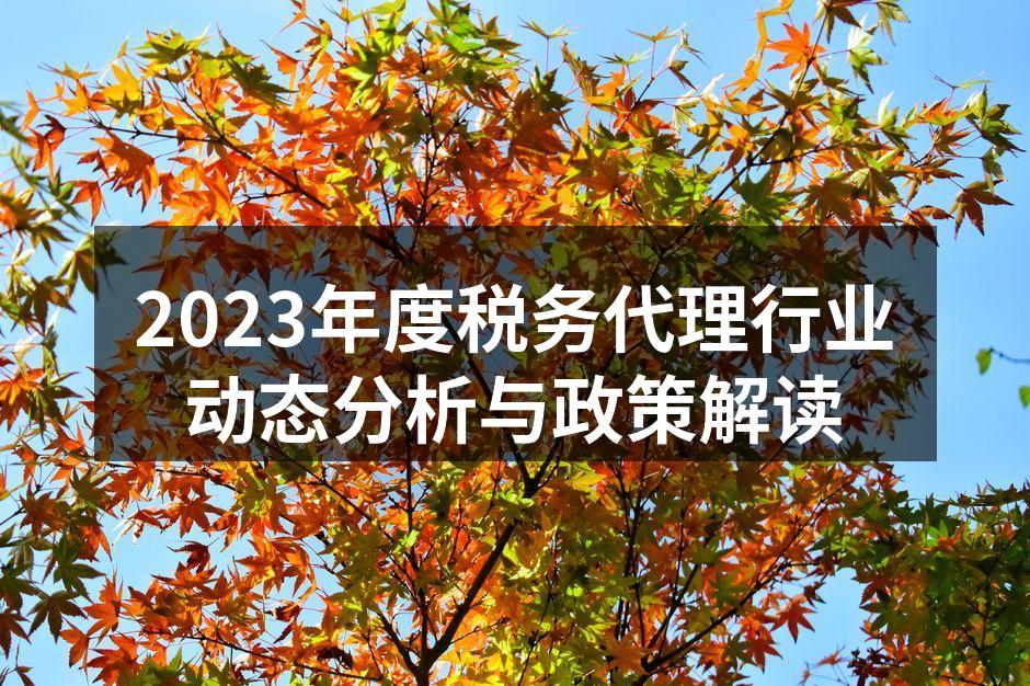 2023年度税务代理行业动态分析与政策解读