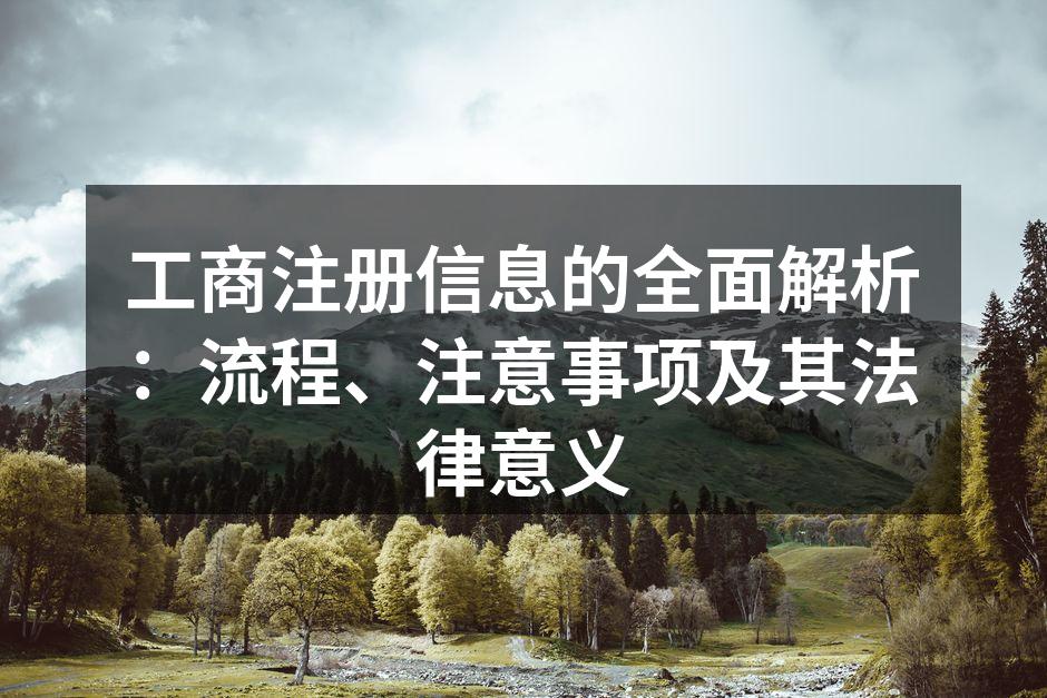 工商注册流程示意图