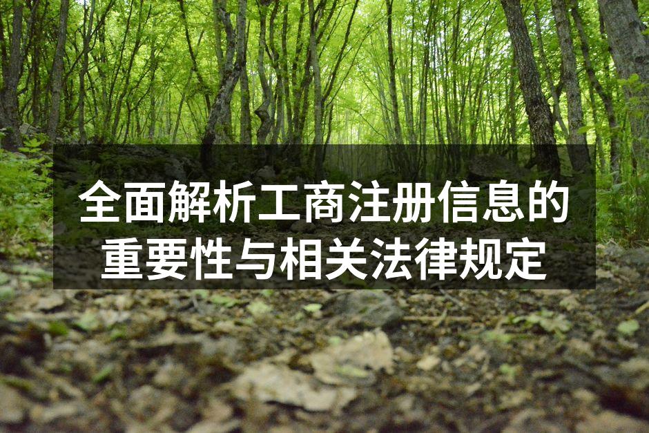 工商注册信息的重要性