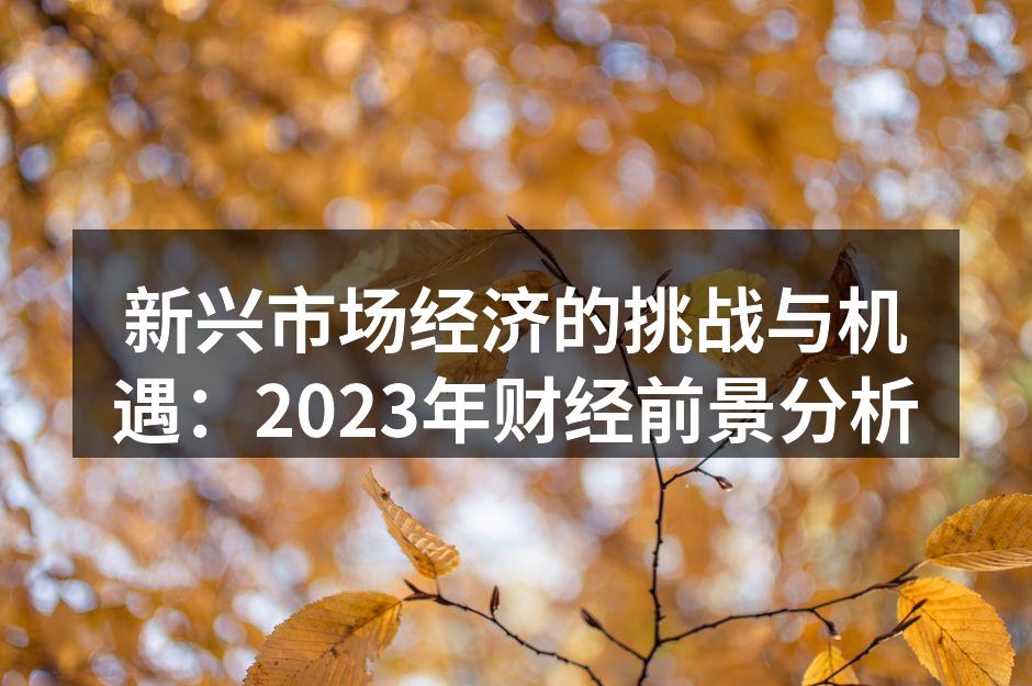 新兴市场的经济面临多重挑战