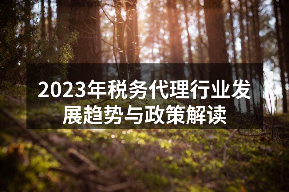 税务代理服务的多样化