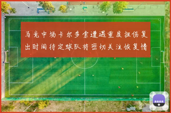 马竞中场卡尔多索遭遇重度扭伤复出时间待定球队将密切关注恢复情况