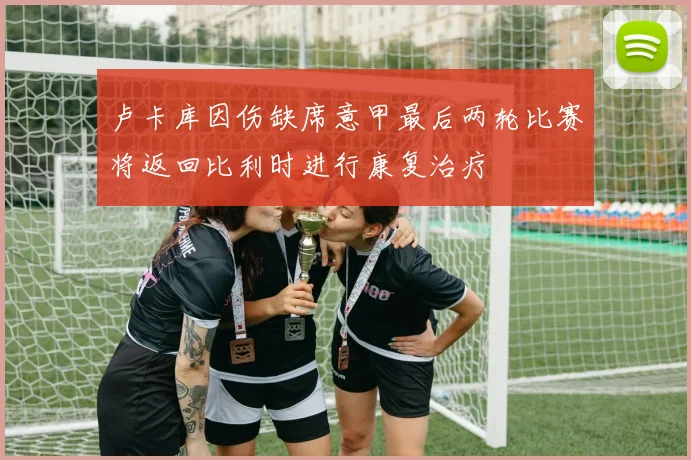 卢卡库因伤缺席意甲最后两轮比赛将返回比利时进行康复治疗